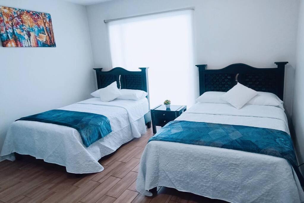 Secure, Central And Quiet Apartment Work Or Travel Мехико Экстерьер фото